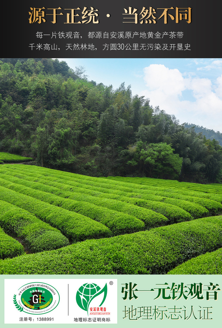 張一元安溪鐵觀音特級(jí)濃香型新茶福建鐵觀音烏龍茶葉240g禮盒裝