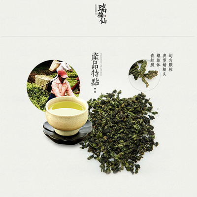 正宗安溪鐵觀音 清香型鐵觀音禮盒裝 禮盒系列 500g茶葉