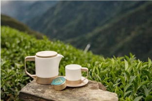 變革者的宿命,我眼中的小罐茶