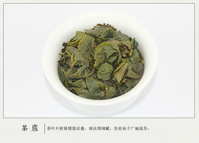 探尋正宗安溪鐵觀音 清香型鐵觀音禮盒裝品鑒