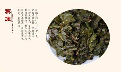 四進名茶·安溪鐵觀音 醇香一閣特級濃香品鑒