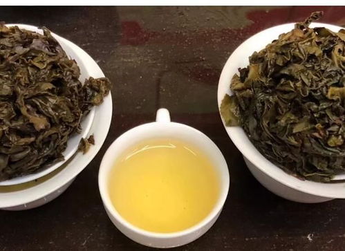 探本溯源 安溪鐵觀音的三大核心品類
